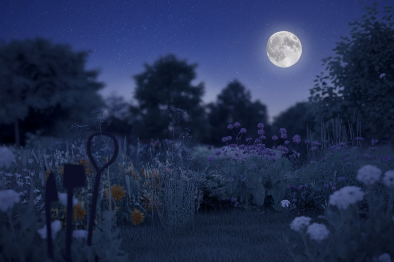 Jardiner avec la Lune : Août 2023 Calendrier Lunaire