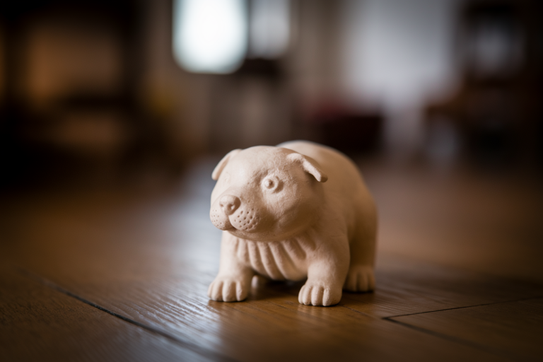 Mille Pattes dans la Maison Signification : Message et Croyances