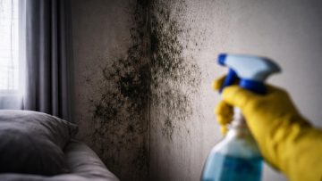 murs-taches-moisissure-main-nettoyage