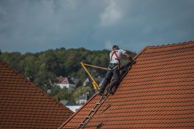 Tout savoir sur la toiture : rénovation, entretien et choix des matériaux