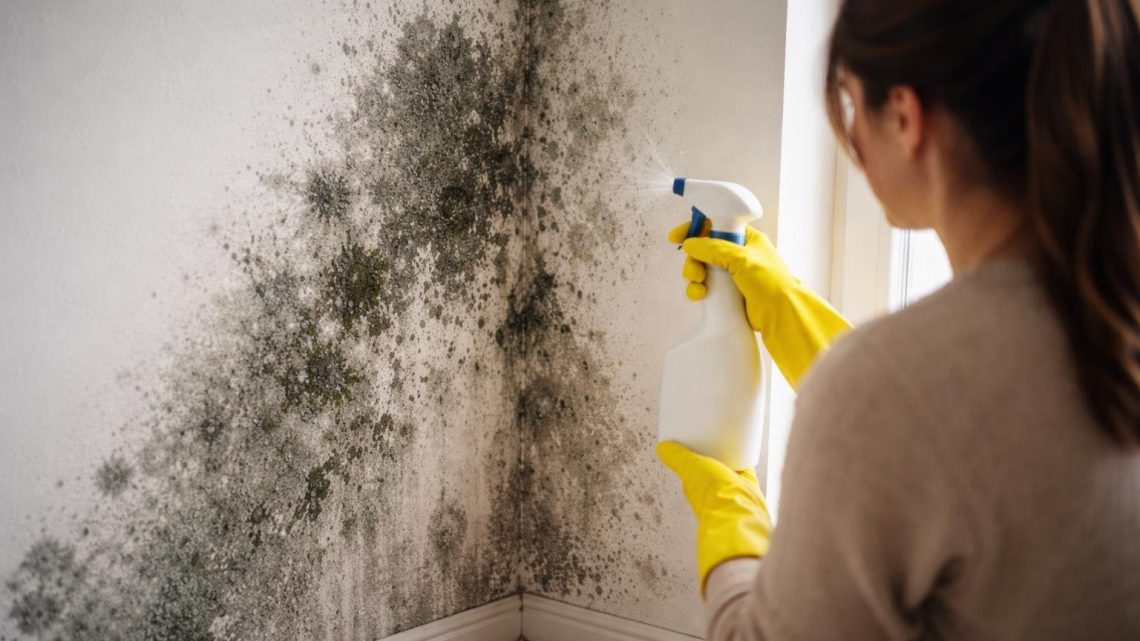 mur-moisi-personne-nettoyage-spray