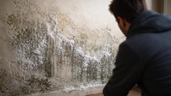 mur-salpetre-personne-dos-cristaux